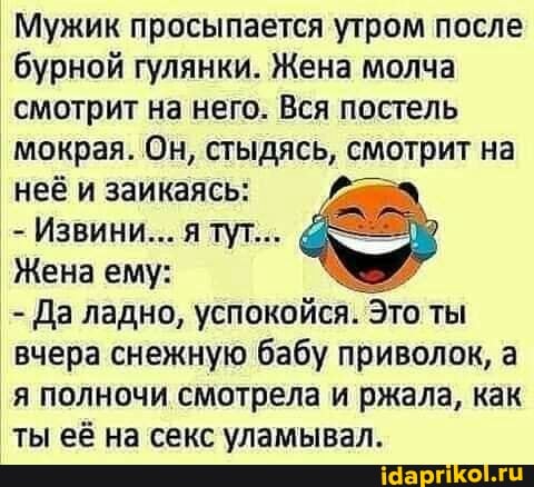Мужик просыпается утром после бурной гулянки. Жена молча смотрит на него. Вся постель мокрая. Он, стыдясь, смотрит на неё и заикаясь:
- Извини... я тут...
Жена ему:
- Да ладно, успокойся. Это ты вчера снежную бабу приволок, а я полночи смотрела и ржала, как ты её на секс уламывал.