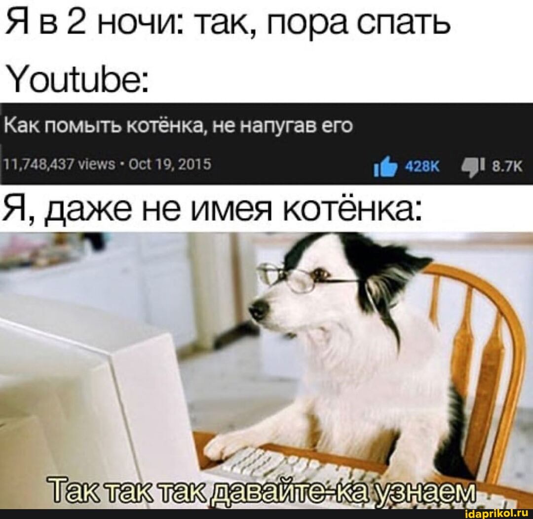 Явё ночи: так, пора спать
Как помыть котёнка, не напугав его
11,748,437 Ос{ 19, 2015
Я, даже не имея котёнка: