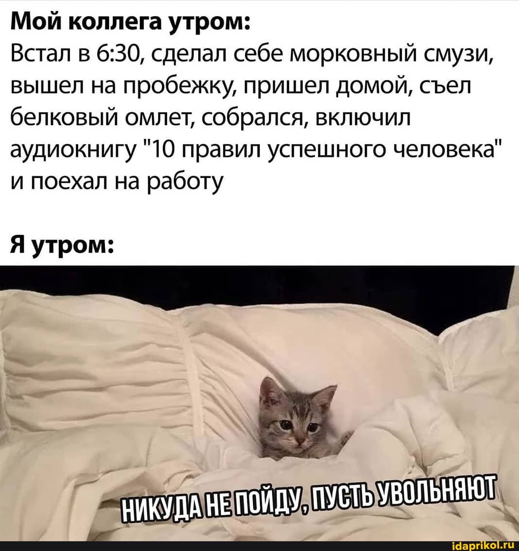 Мой коллега утром:
Встал в сделал себе морковный смузи, вышел на пробежку, пришел домой, сел белковый омлет, собрался, включил аудиокнигу "10 правил успешного человека" и поехал на работу
Я утром:
НИКУДА НЕ ПОЙДУ, ПУСТЬ УВОЛЬНЯЮТ