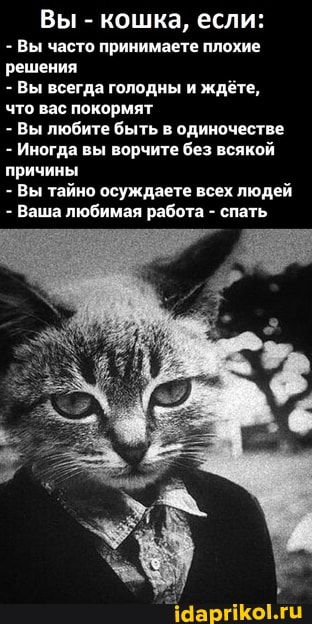 Вы - кошка, если:
- Вы часто принимаете плохие решения
- Вы всегда голодны и ждёте, что вас покормят
- Вы любите быть в одиночестве
- Иногда вы ворчите без всякой причины
- Вы тайно осуждаете всех людей
- Ваша любимая работа - спать