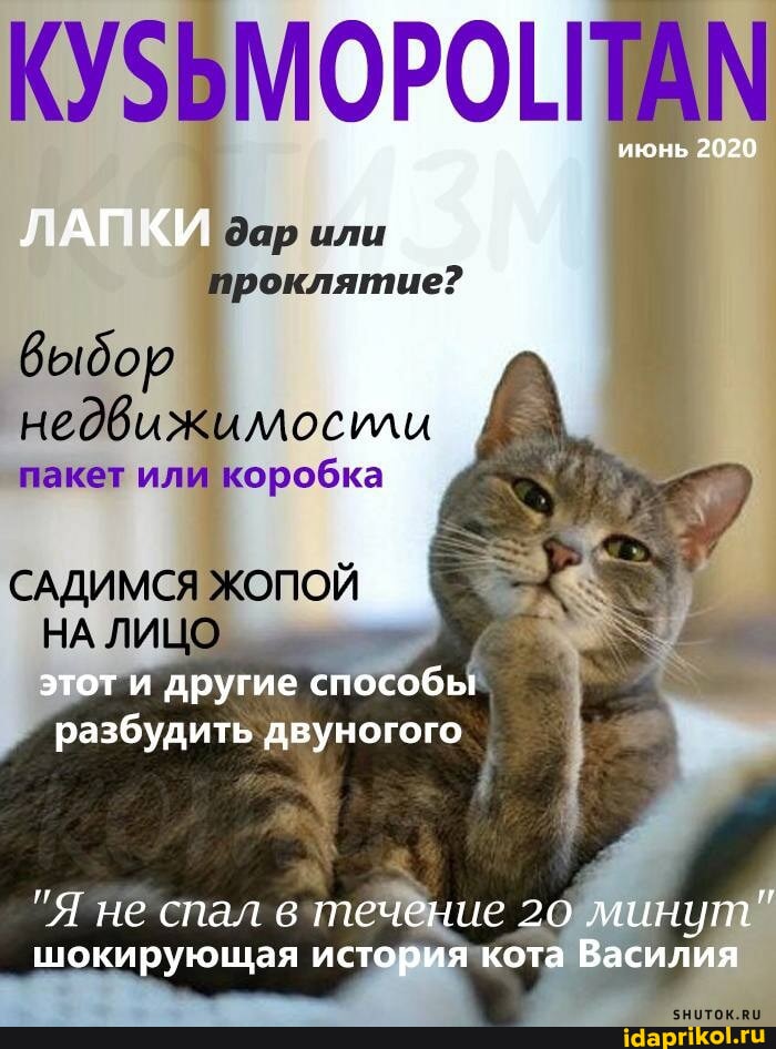 Попа - лицо женщины?