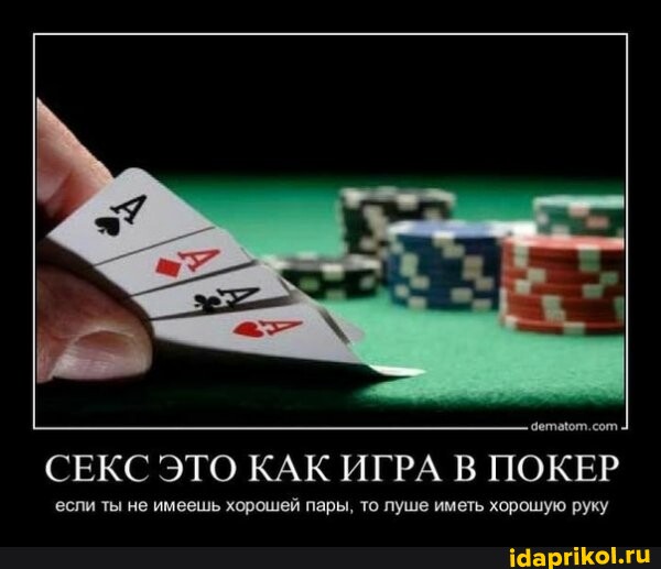 Желіде көңіл көтеру үшін сөйлесіңіз Ракондар қалай сиғады