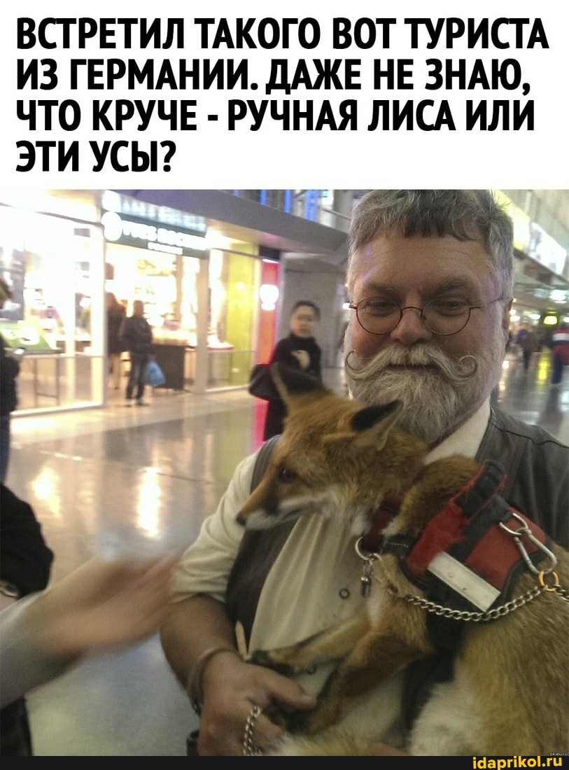 ВСТРЕТИЛ ТАКОГО ВОТ ТУРИСТА ИЗ ГЕРМАНИИ. ДАЖЕ НЕ ЗНАЮ,
ЧТО КРУЧЕ - РУЧНАЯ ЛИСА ИЛИ ЭТИ УСЫ?