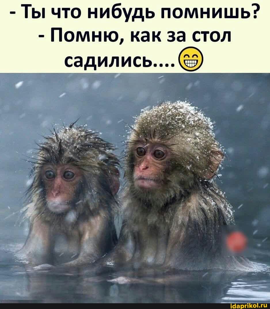 - Ты что нибудь помнишь?
- Помню, как за стол
садились...