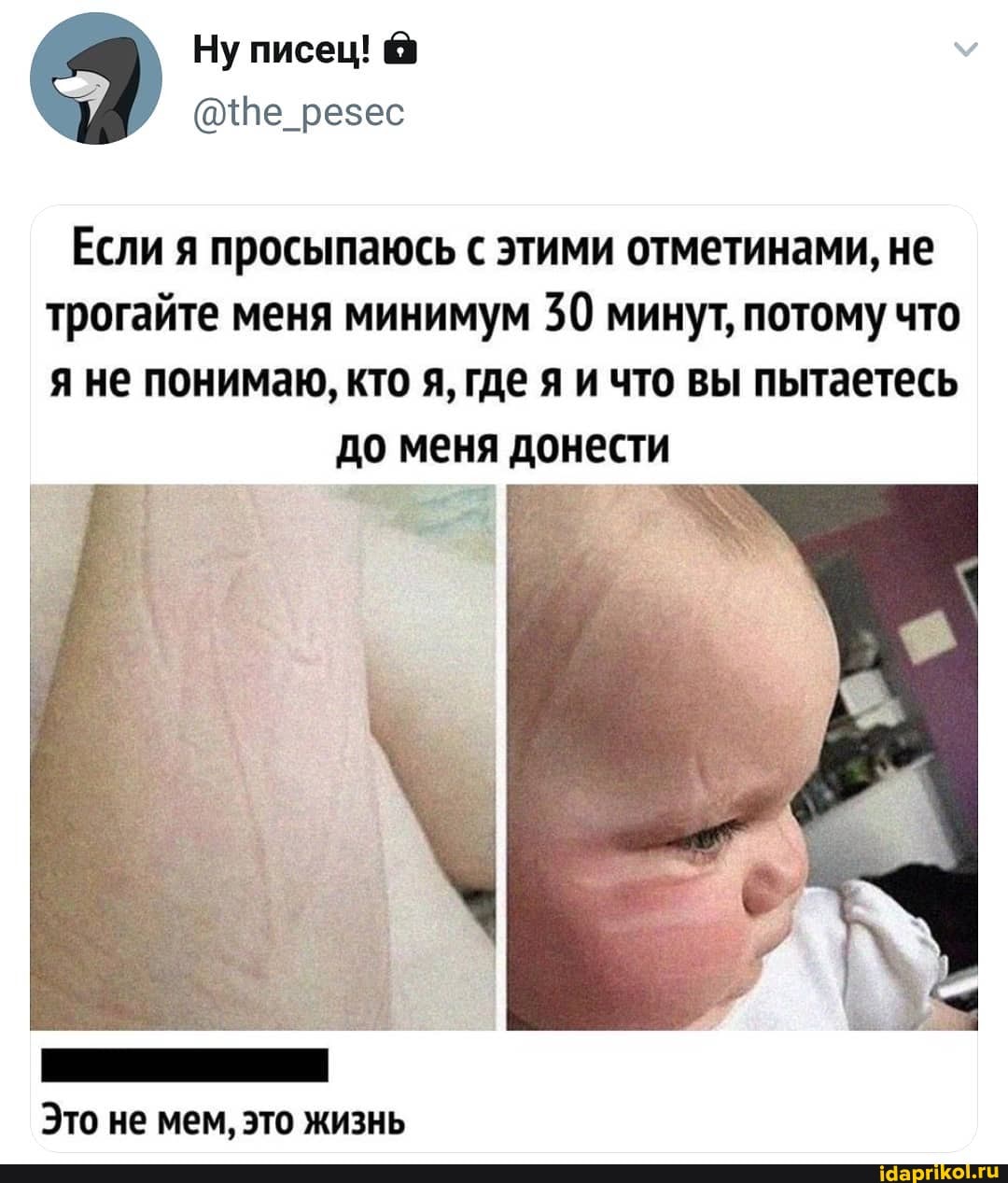 Ну писец! @
@{Пе_резес
Если я просыпаюсь с этими отметинами, не
трогайте меня минимум 30 минут, потому что
я не понимаю, кто я, где я и что вы пытаетесь
до меня донести
Это не мем, это жизнь