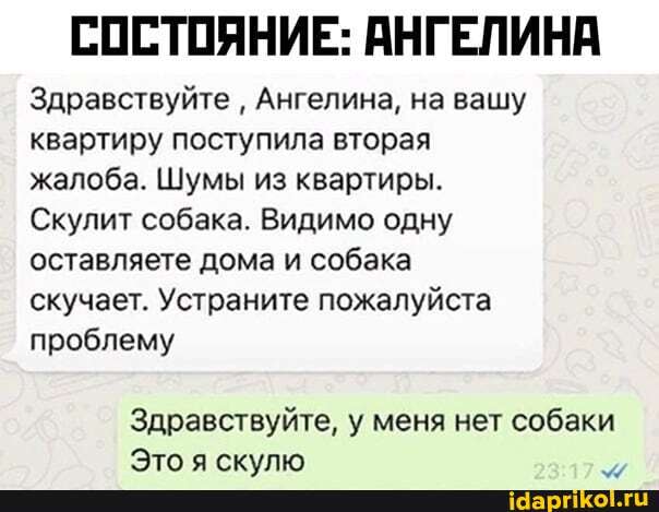 СОСТОЯНИЕ: АНГЕЛИНА
Здравствуйте Ангелина, на вашу квартиру поступила вторая жалоба. Шумы из квартиры.
Скулит собака. Видимо одну оставляете дома и собака скучает. Устраните пожалуйста проблему
Здравствуйте, у меня нет собаки
Этоа скупю