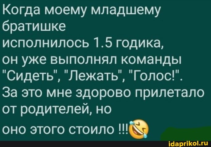 Когда моему младшему
братишке
исполнилось 1.5 годика,
он уже выполнял команды
"Сидеть", "Лежать", "Голос!".
За это мне здорово прилетало от родителей, но
оно этого стоило