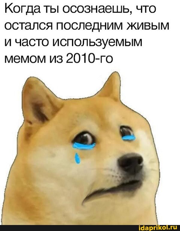Когда ты осознаешь, что остался последним живым и часто используемым мемом из 2010-го