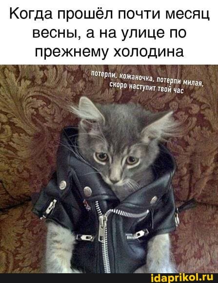 Когда прошёл почти месяц
весны, а на улице по прежнему холодина
"Потерпи, кожаночка, потерпи милая,
СЖоро настулит твой час