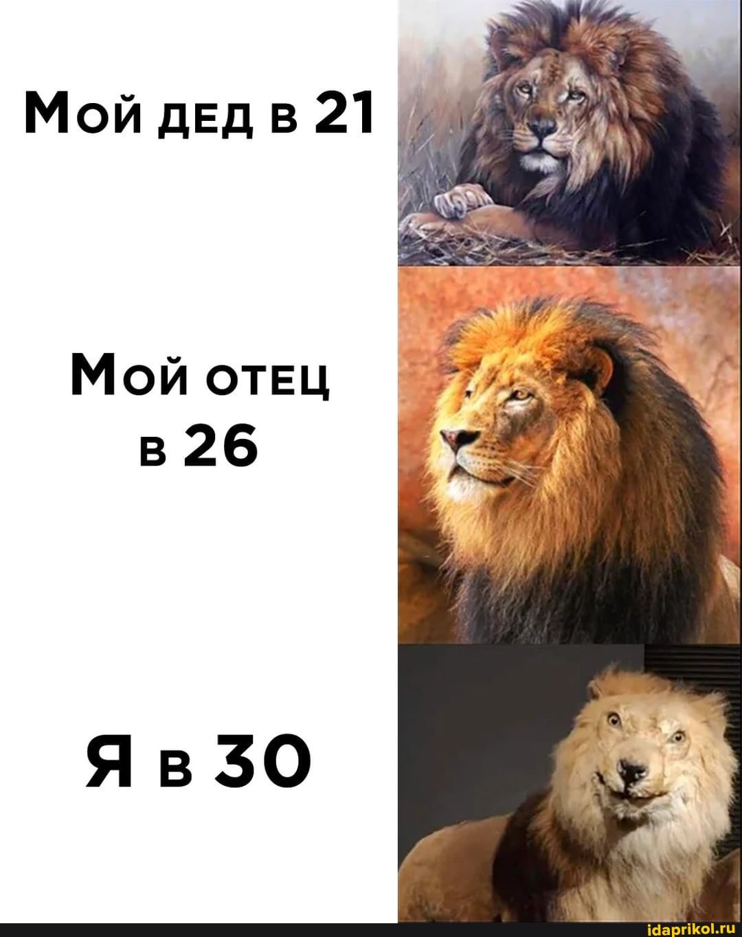 Мой ДЕД 21
Мой ОТЕЦ в 26
Яв 30