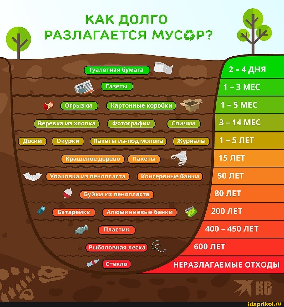 КАК ДОЛГО
РАЗЛАГАЕТСЯ
Туалетная бумага 2-4 ДНЯ
Газеты 1-3 МЕС
1-5МЕС
(Огрызки Картонные коробки
3-14 МЕС
Фотографии Спички
Журналы 1-5 ЛЕТ
Веревка из хлопка
Доски Окурки Пакеты из-под молока Журналы 1-5 ЛЕТ
Крашеное дерево Пакеты $ 15 ЛЕТ
Упаковка из пенопласта Консервные банки I 50 ЛЕТ
из пенопласта 80 ЛЕТ Батарейки) Алюминиевые банк / 200 ЛЕТ Пластик 400 - 450 ЛЕТ Рыболовная леска 600 ЛЕТ
(Стекло НЕРАЗЛАГАЕМЫЕ ОТХОДЫ