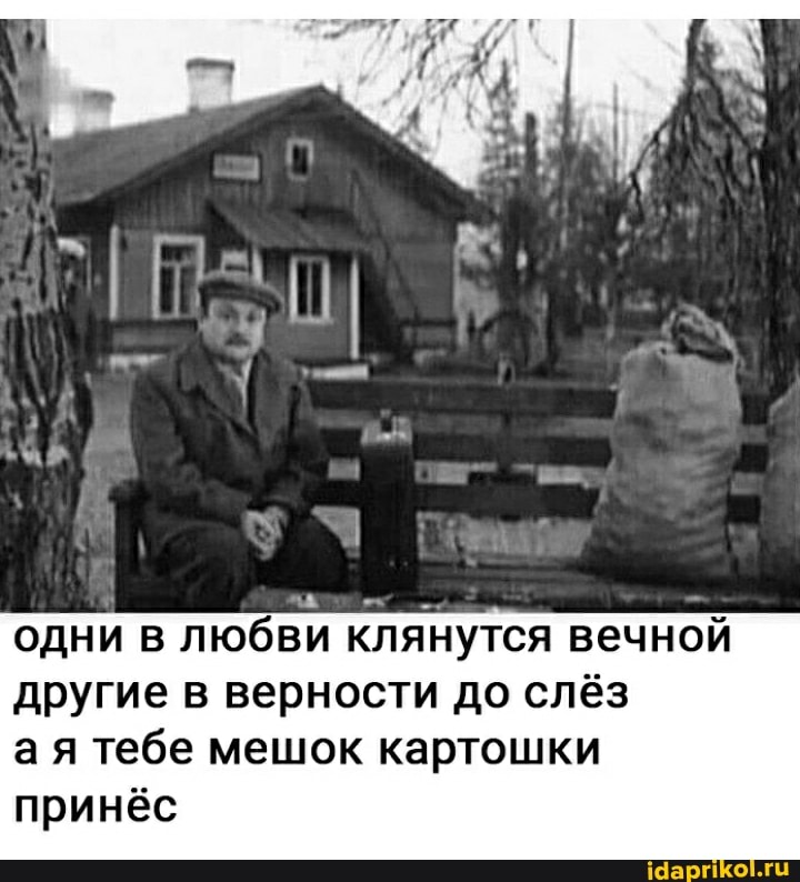 одни в любви клянутся вечной другие в верности до слёз ая тебе мешок картошки
принёс