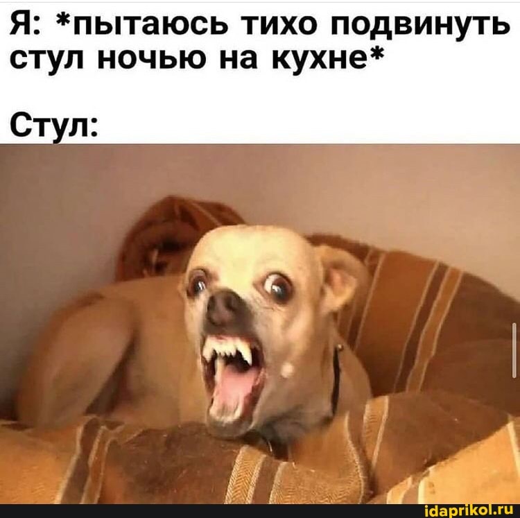Я: *пытаюсь тихо подвинуть стул ночью на кухне*
Стул: