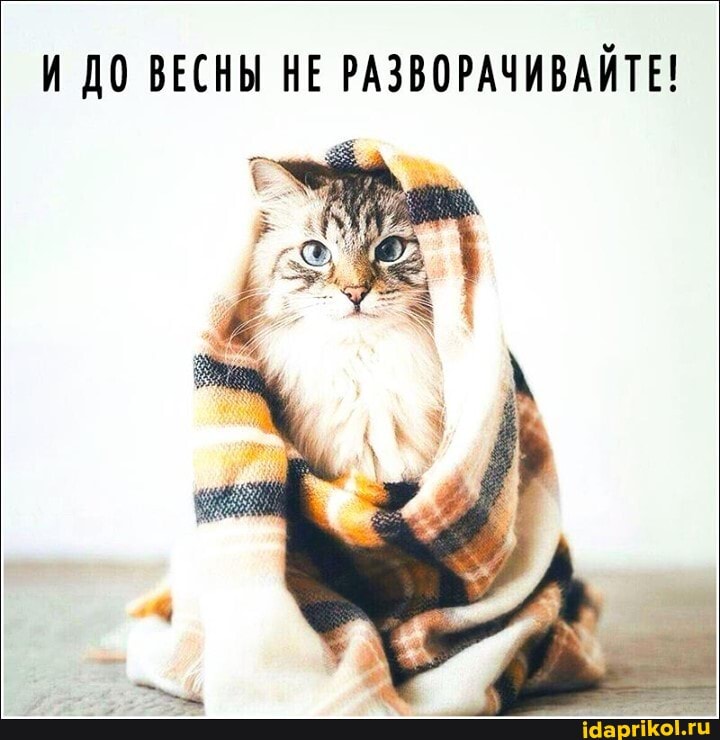 И ДО ВЕСНЫ НЕ РАЗВОРАЧИВАЙТЕ!