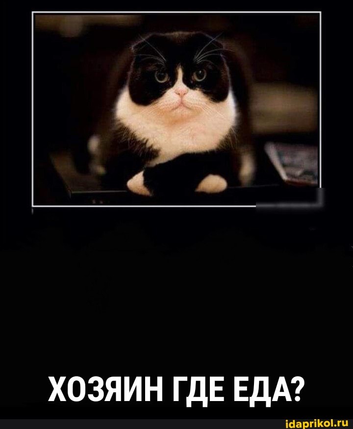 ХОЗЯИН ГДЕ ЕДА?