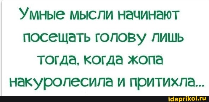 Умные мысли начинают посещать голову лишь тогда, когда жопа накуролесила и притихла...