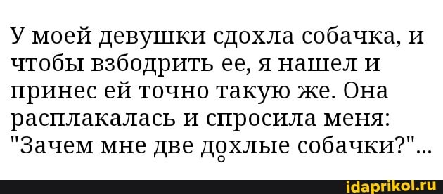 У моей девушки сдохла собачка, и чтобы взбодрить ее, я нашел и принес ей точно такую же. Она расплакалась и спросила меня:
"Зачем мне две дохлые собачки?"...