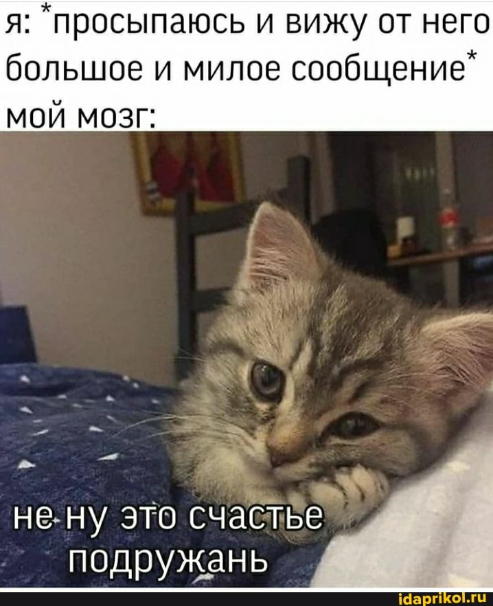 я: просыпаюсь и вижу от него
большое и милое сообщение*
МОЙ МОЗГ:
не ну это счастье
подружань