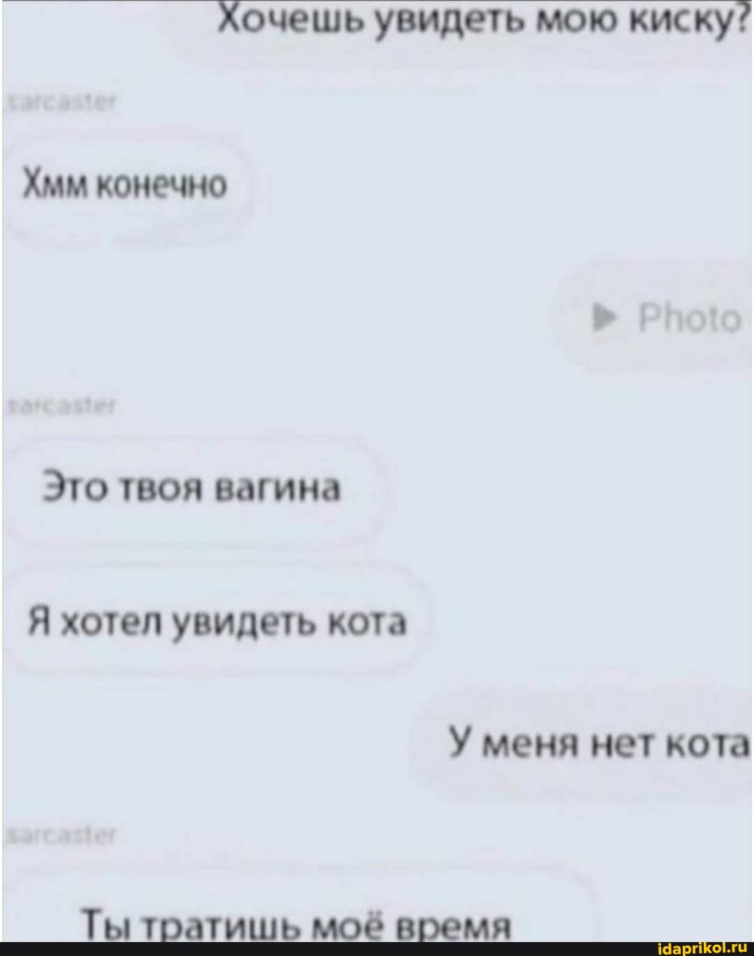 Хочешь увидеть мою киску?
Хмм конечно
Это твоя вагина
Я хотел увидеть кота
У меня нет кота