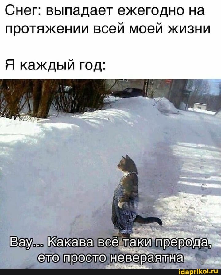 Снег: выпадает ежегодно на протяжении всей моей жизни
Я каждый год:
Вау... Какава всё таки прерода,
ето просто невераятна