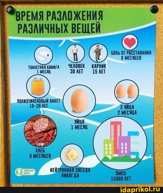 РАЗАИЧНЫХ ВЕЩИ
БОЛЬ ОТ РАССТАВАНИЯ В МЕСЯЦЕВ
ТААЛЕТНАЯ ЧЕЛОВЕК КАРАИК МЕСЯЦ, 15 АЕТ
ПОЛИЗТИЛЕНОВЫЙ ПАКЕТ
10-20 АЕТ
НЕЙ
ЯЙЦО МЕСЯЦ МЕСЯЩЕВ РОННАЯ ЗВЕЗДА