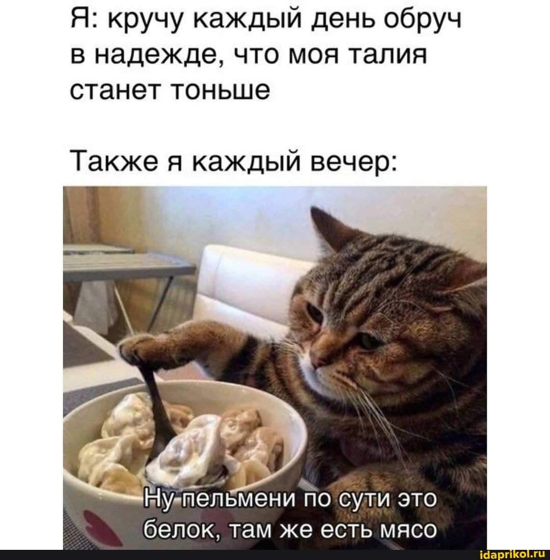 Я: кручу каждый день обруч в надежде, что моя талия станет тоньше
Также я каждый вечер:
Ну пельмени по сути это белок, там же есть мясо