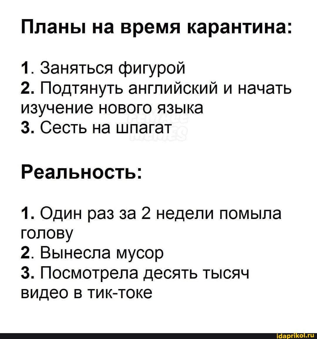 Планы на время карантина:
1. Заняться фигурой
2. Подтянуть английский и начать изучение нового языка
3. Сесть на шпагат
Реальность:
1. Один раз за 2 недели помыла голову
2. Вынесла мусор
3. Посмотрела десять тысяч видео в тик-токе