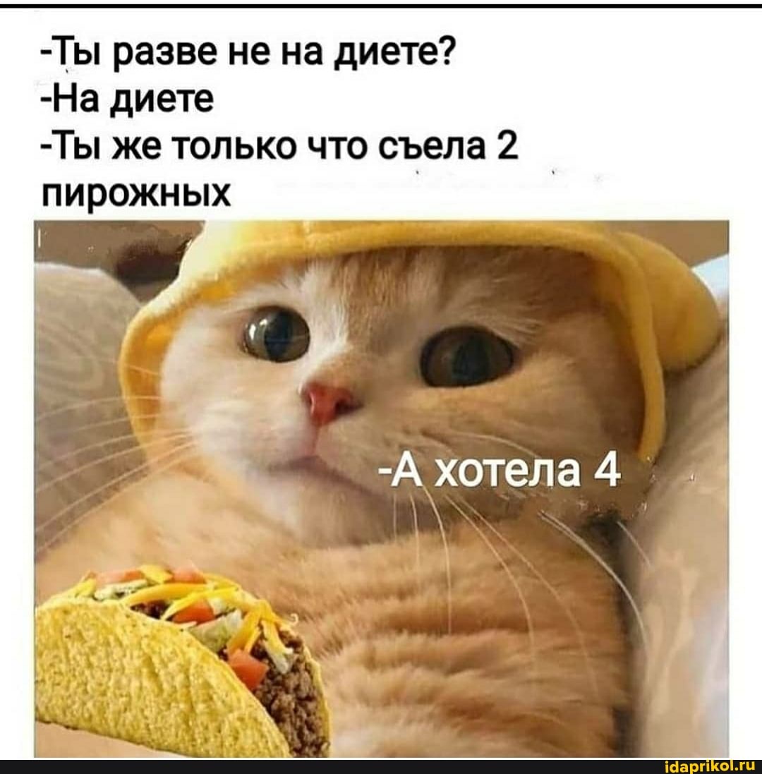 -Ты разве не на диете?
-На диете
-Ты же только что села 2 пирожных
-А хотела
