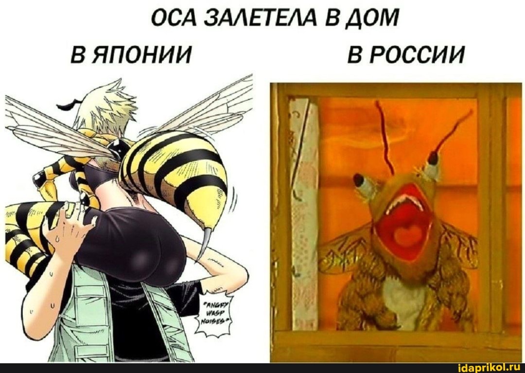 ОСА ЗАЛЕТЕЛА В ДОМ В ЯПОНИИ В РОССИИ