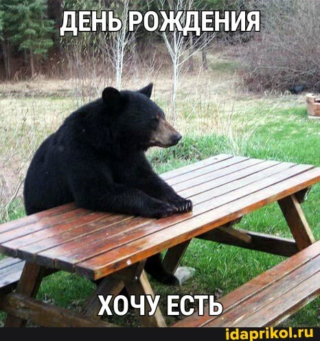 ДЕНЬ РОЖДЕНИЯ
ХОЧУ ЕСТЬ