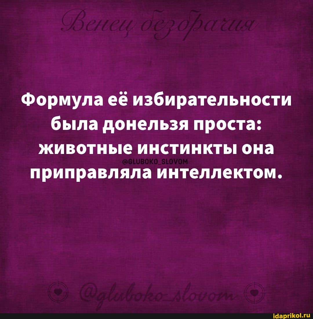 Формула её избирательности была донельзя проста: животные инстинкты она приправляла интеллектом.