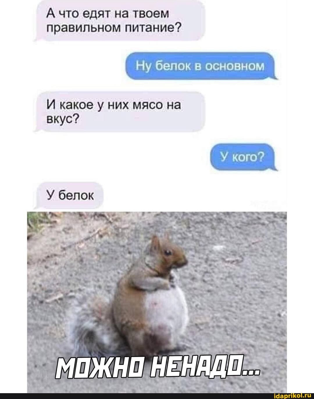 А что едят на твоем правильном питание?
Ну белок в основном
И какое у них мясо на вкус?
Белок
кого?
МОЖНО НЕНАДО...