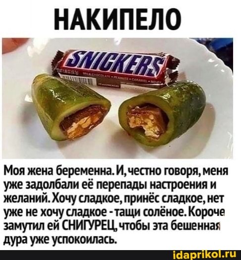 НАКИПЕЛО
Моя жена беременна. И, честно говоря, меня уже задолбали её перепады настроения и желаний. Хочу сладкое, принёс сладкое, нет уже не хочу сладкое -тащи солёное. Короче замутил ей СНИГУРЕЦ, чтобы эта бешенная дура уже успокоилась.