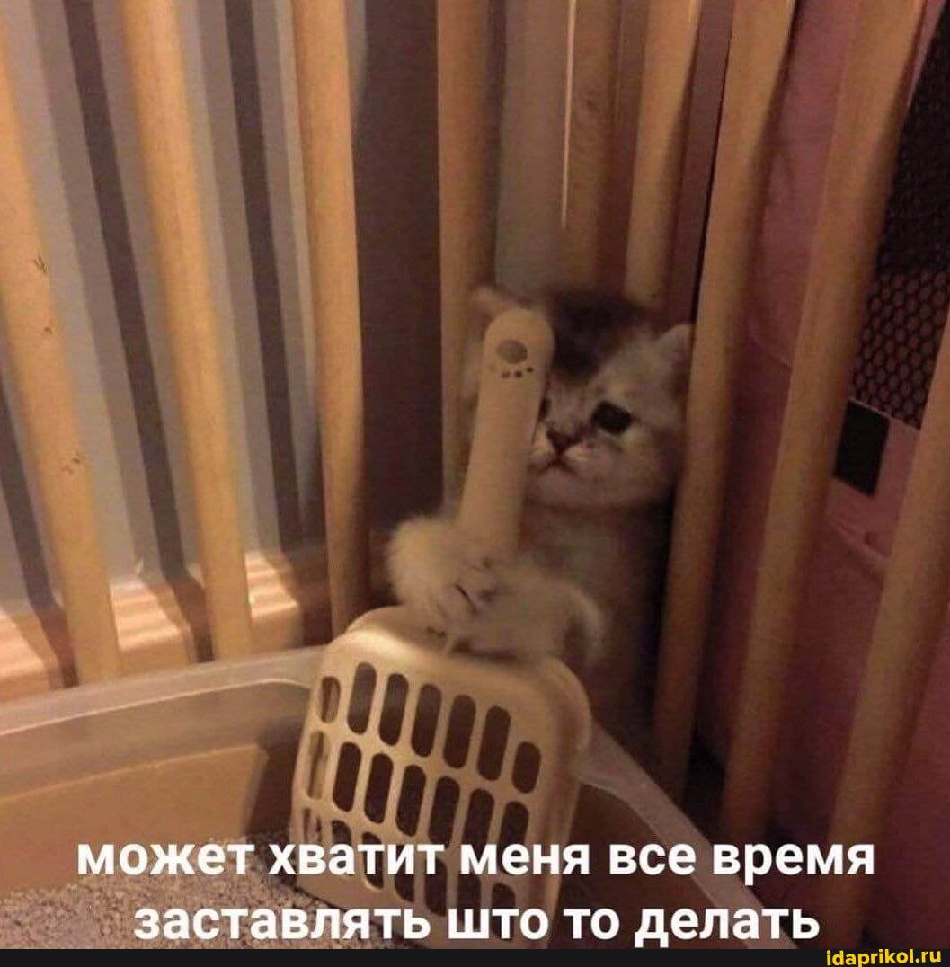 может хватит меня все время гта рлать титл тл лопать