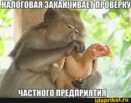ЗАКАНЧИВАЕТ ПРОВЕРКУ
ЧАСТНОГО ПРЕДПРИЯТИЯ