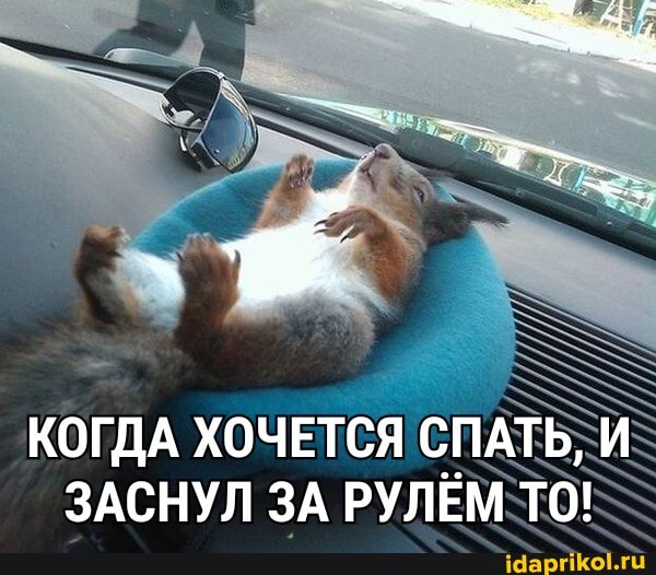 КОГДА ХОЧЕТСЯ СПАТЬ, И
ЗАСНУЛ ЗА РУЛЁМ