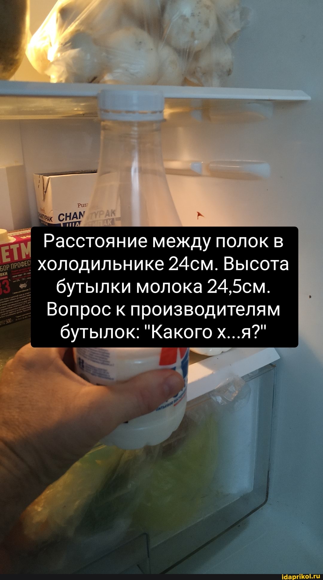 Расстояние между полок холодильнике 24см. Высота
бутылки молока 24,5см.
Вопрос к производителям
бутылок: "Какого х...я?"