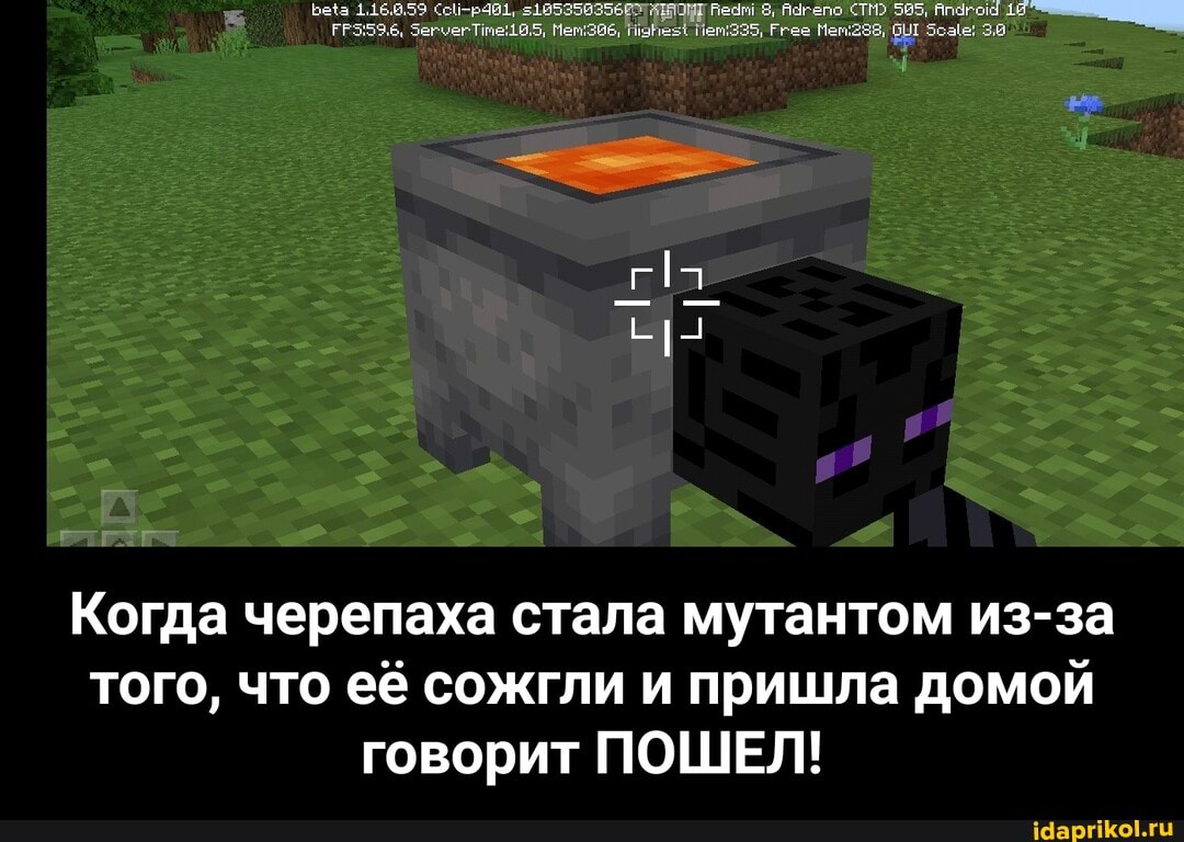 Когда черепаха стала мутантом из-за того, что её сожгли и пришла домой говорит ПОШЕЛ! - Когда черепаха стала мутантом из-за того, что еë сожгли и пришла домой говорит ПОШЕЛ!
