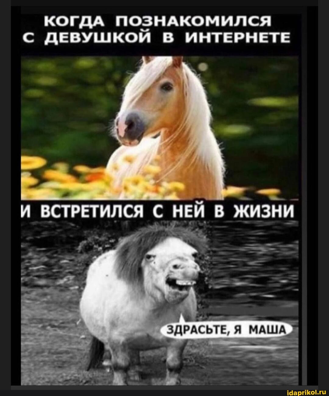 КОГДА ПОЗНАКОМИЛСЯ С ДЕВУШКОЙ В ИНТЕРНЕТЕ