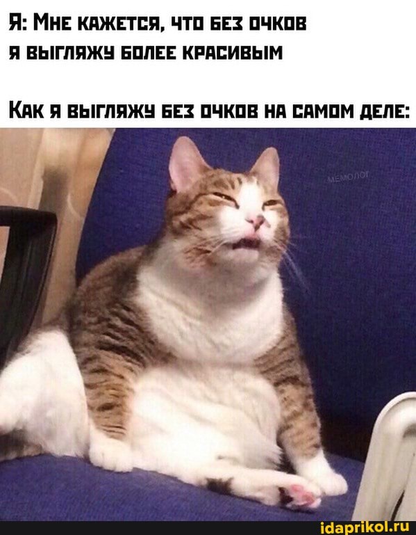 Я: МНЕ КАЖЕТСЯ, ЧТО БЕЗ ОЧКОВ Я ВЫГЛЯЖУ БОЛЕЕ КРАСИВЫМ
КАК ВЫГЛЯЖУ БЕЗ ОЧКОВ НА САМОМ ДЕЛЕ: