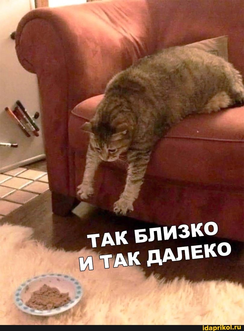 ТАК БЛИЗКО ТАК ДАЛЕКО
