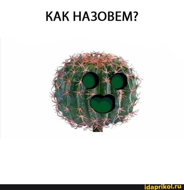 КАК НАЗОВЕМ?