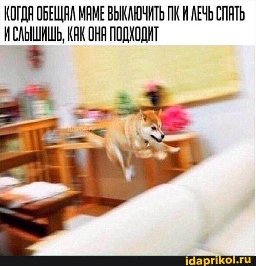 КОГДЯ ОБЕЩАЛ МАМЕ ВЫКАЮЧИТЬ ПК И АЕЧЬ СПАТЬ ИСЛЬШИШЬ, КАК ОН ПОДХОДИТ