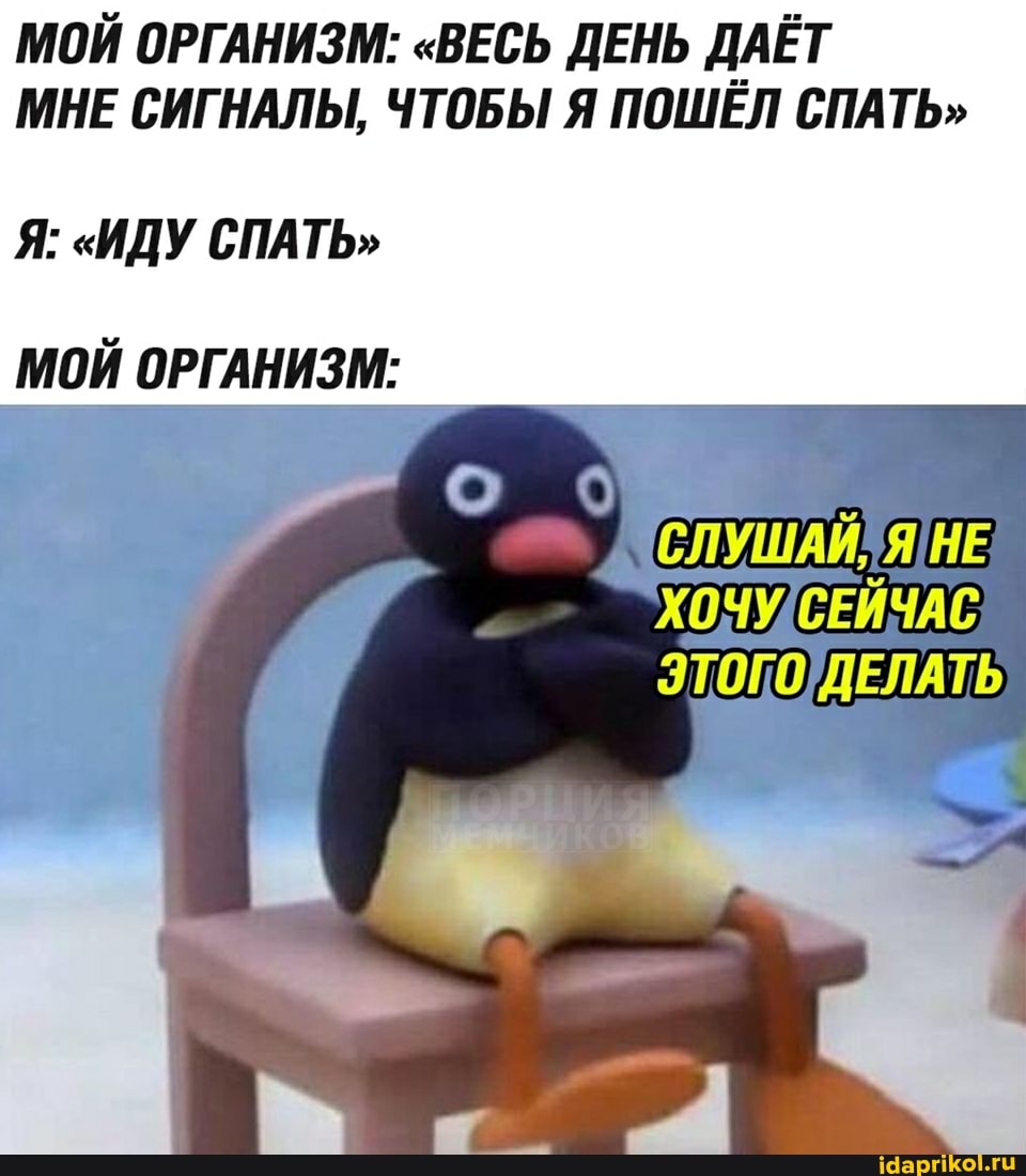 МОЙ ОРГАНИЗМ: "ВЕСЬ ДЕНЬ ДАЁТ МНЕ СИГНАЛЫ, ЧТОБЫ Я ПОШЁЛ СПАТЬ"
Я: "ИДУ СПАТЬ"
МОЙ ОРГАНИЗМ:
ЭТОГО ДЕЛАТЬ