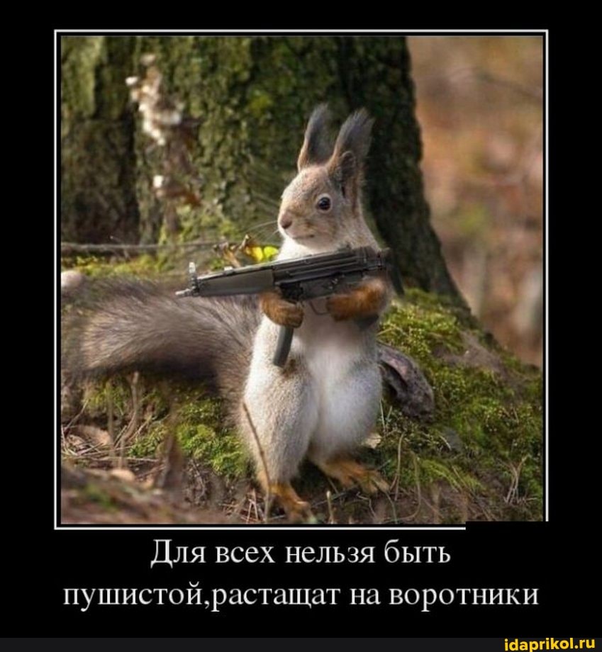 Для всех нельзя быть пушистой, растащат на воротники