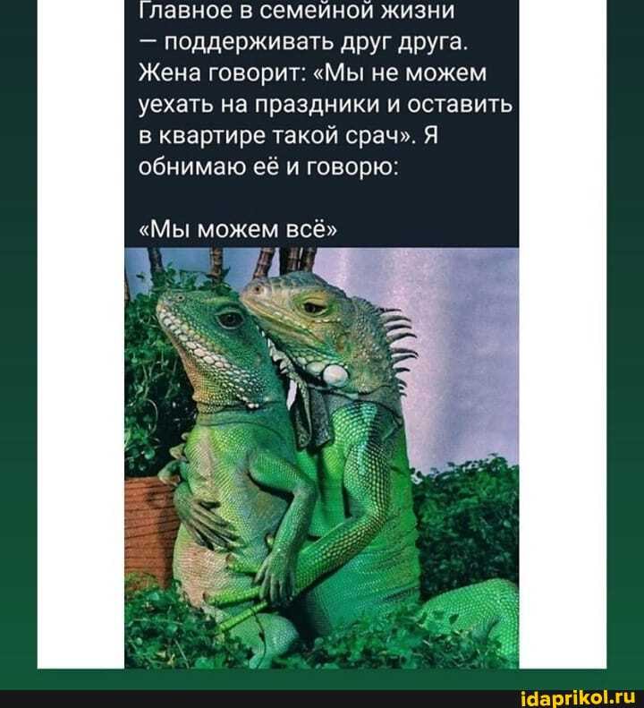 Главное в семейной жизни
- поддерживать друг друга.
Жена говорит: "Мы не можем уехать на праздники и оставить в квартире такой срач". Я обнимаю её и говорю:
"Мы можем всё"