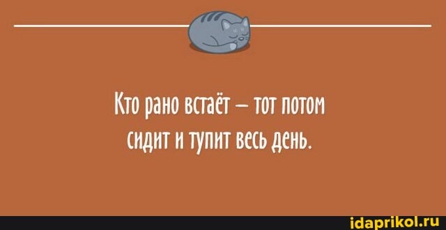 Кто рано встаёт - тот потом
(идит тулит весь день.
