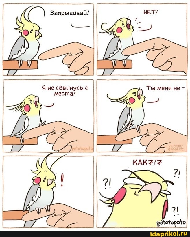 Запрыгивай!
Яне места! места!