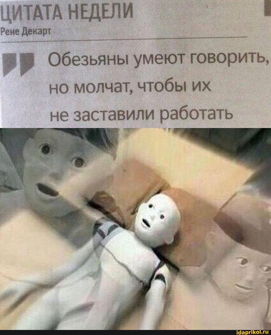 ЦИТАТА НЕ ЦЕЛИ I Рене
Обезьяны умеют говорить, но молчат, чтобы их
не заставили работать