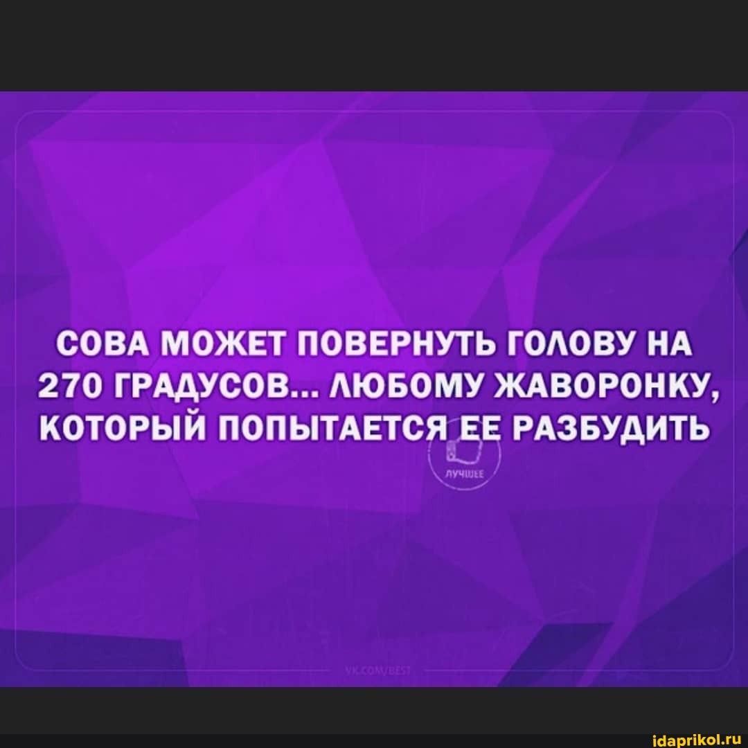 СОВА МОЖЕТ ПОВЕРНУТЬ ГОЛОВУ НА
270 ГРАДУСОВ... ЛЮБОМУ ЖАВОРОНКУ,
КОТОРЫЙ ПОПЫТАЕТСЯ ЕЕ РАЗБУДИТЬ